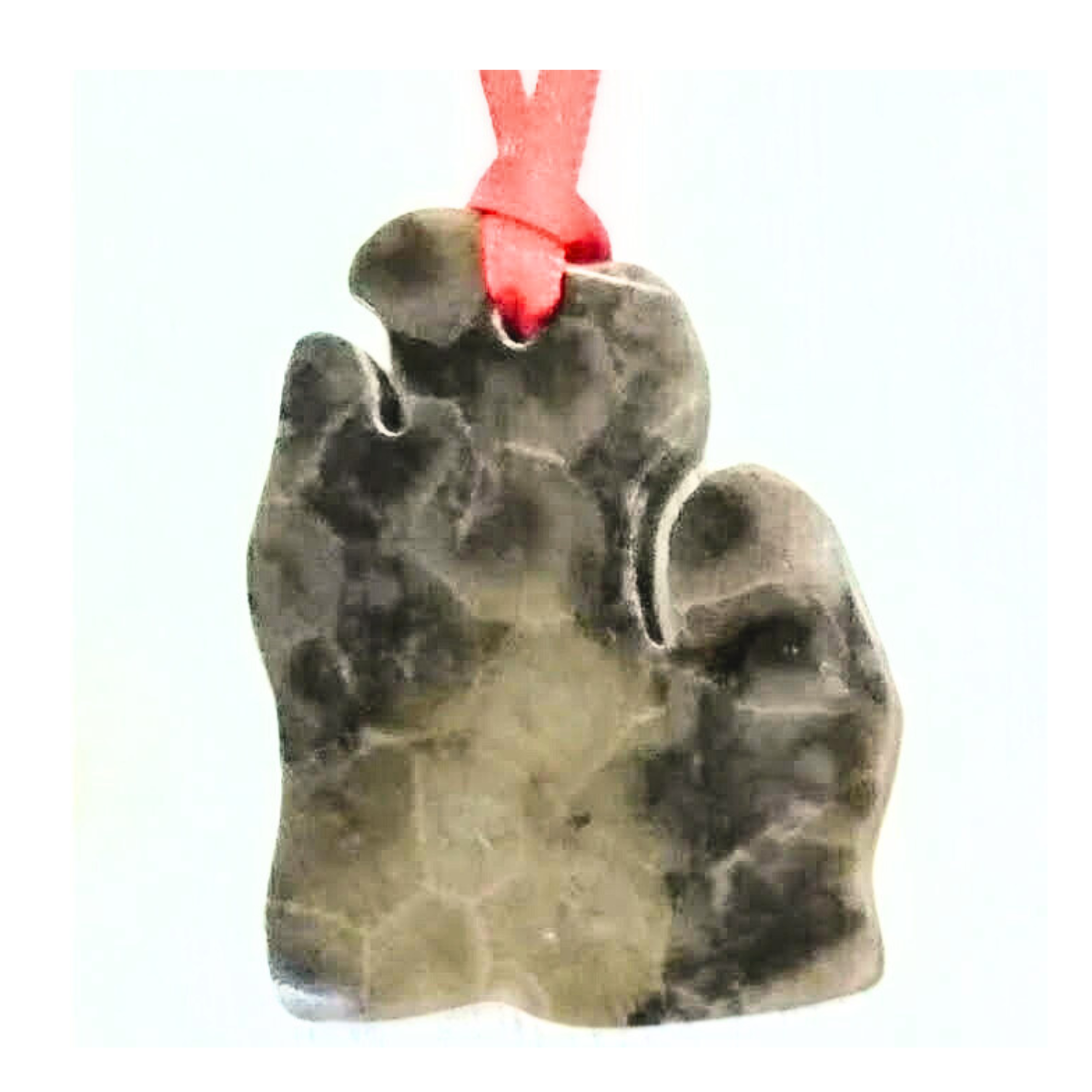 Petoskey Stone Michigan Ornaments