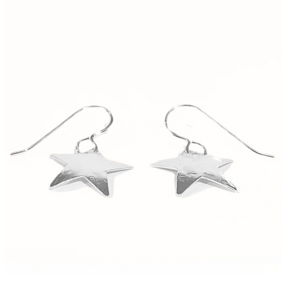 SM-438 Simple Silver Collection Convex Star Earrings