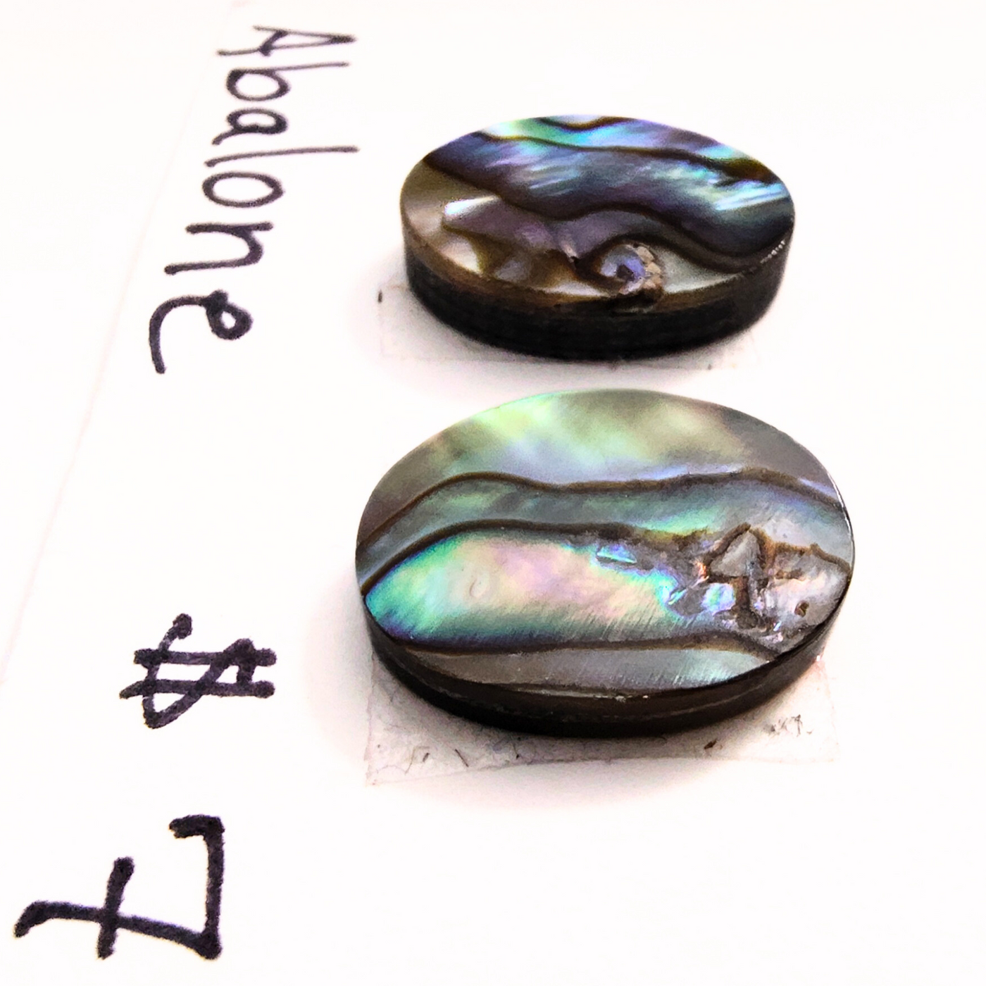 ABL-1002 Abalone Cabochon Pair