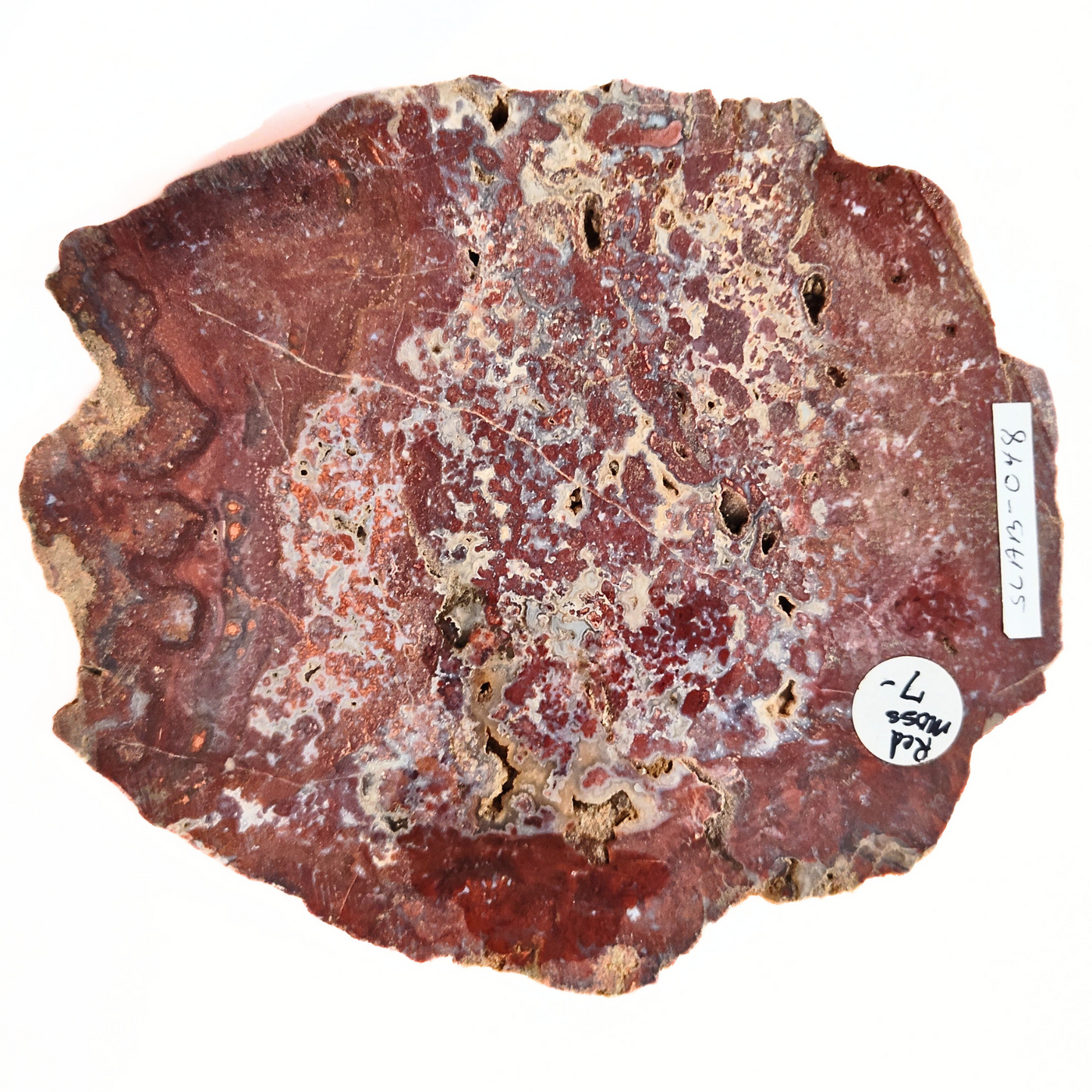 SLAB-048 Red Moss Agate Slab