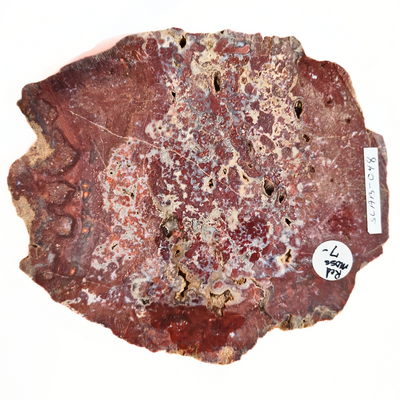 SLAB-048 Red Moss Agate Slab