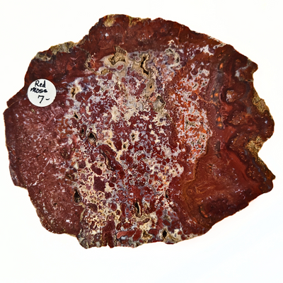 SLAB-048 Red Moss Agate Slab