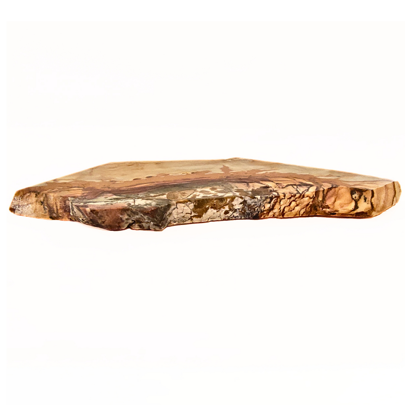 SLAB-046 Owyhee Picture Jasper Slab