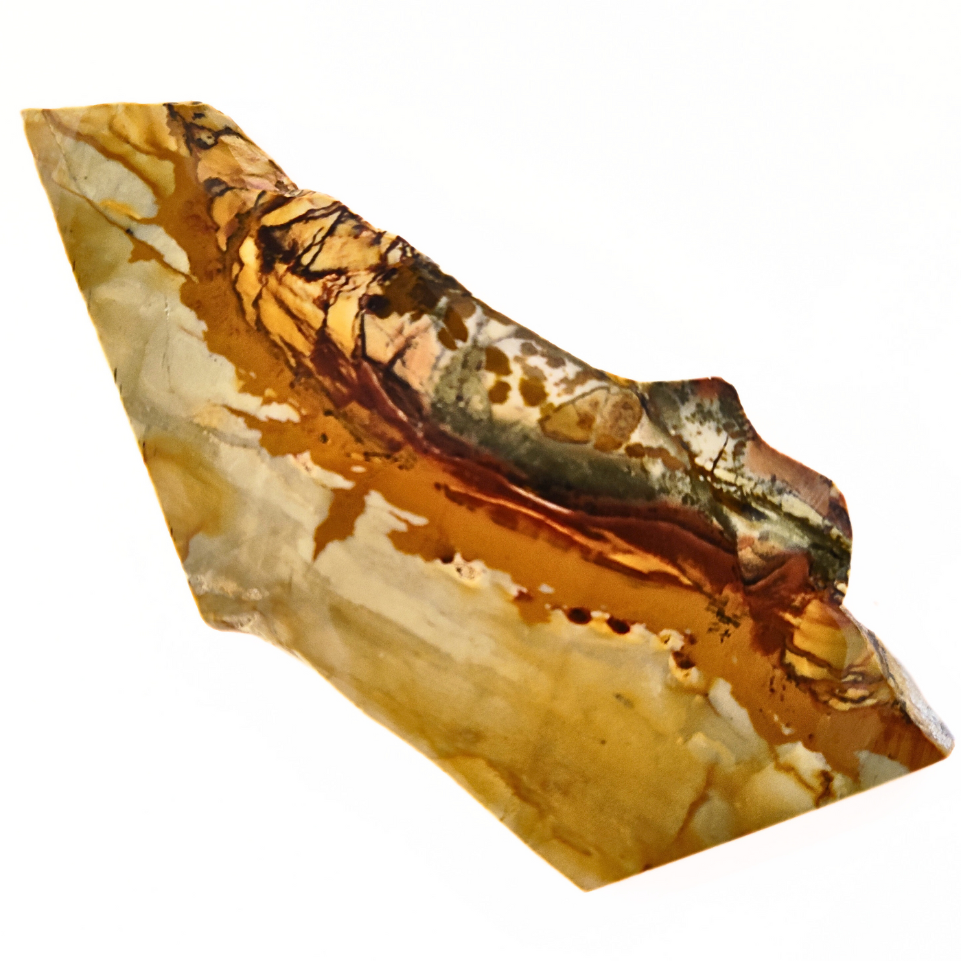 SLAB-046 Owyhee Picture Jasper Slab