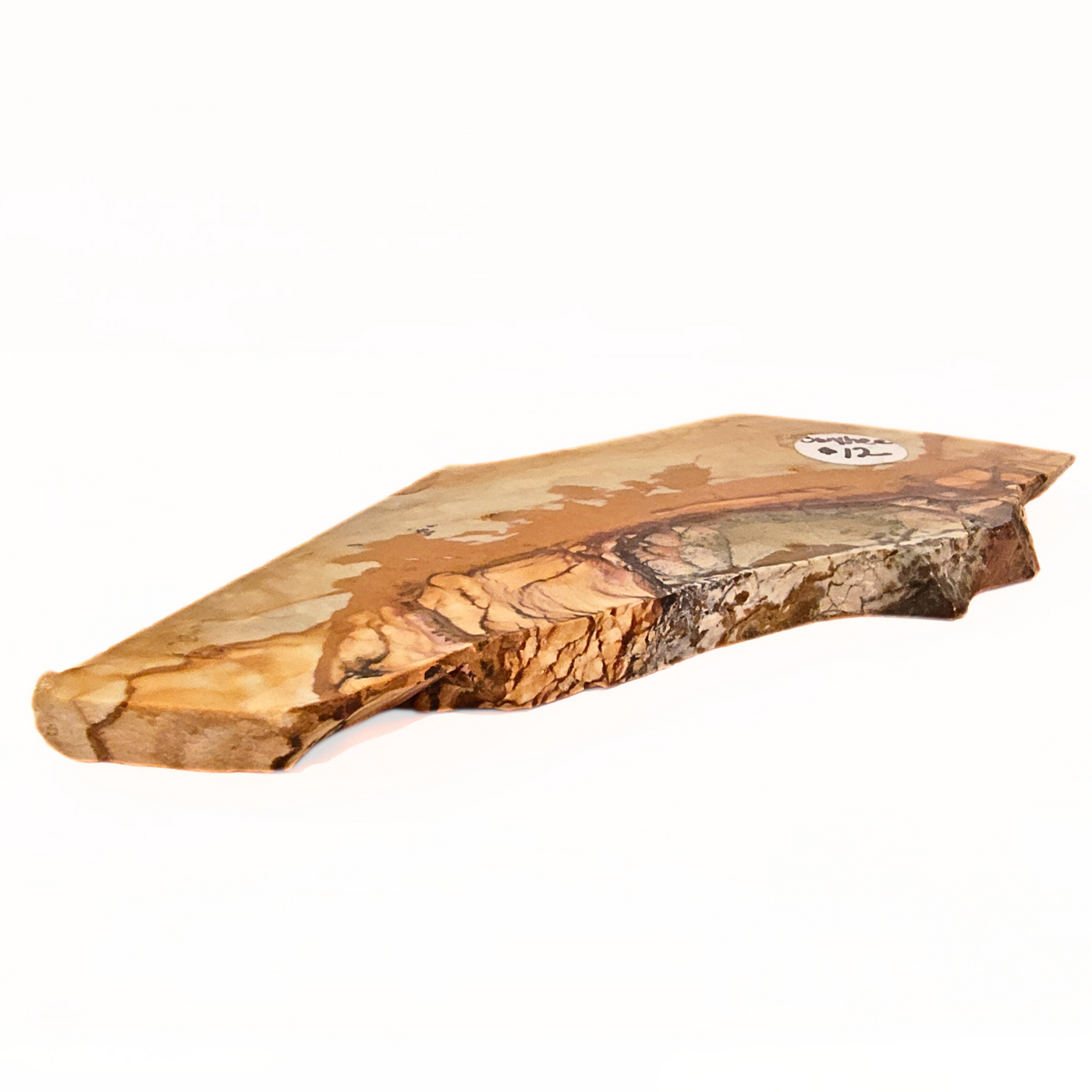 SLAB-046 Owyhee Picture Jasper Slab