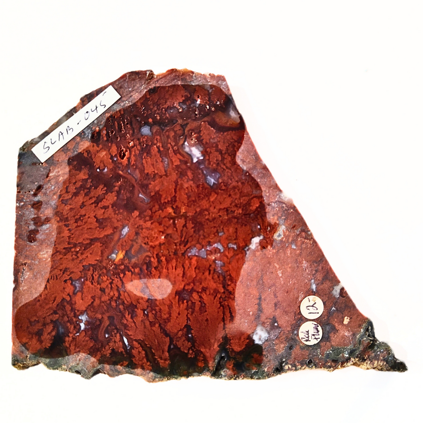 SLAB-045 Red Plume Jasper Slab