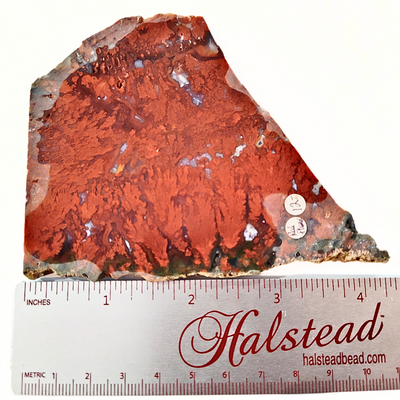 SLAB-045 Red Plume Jasper Slab