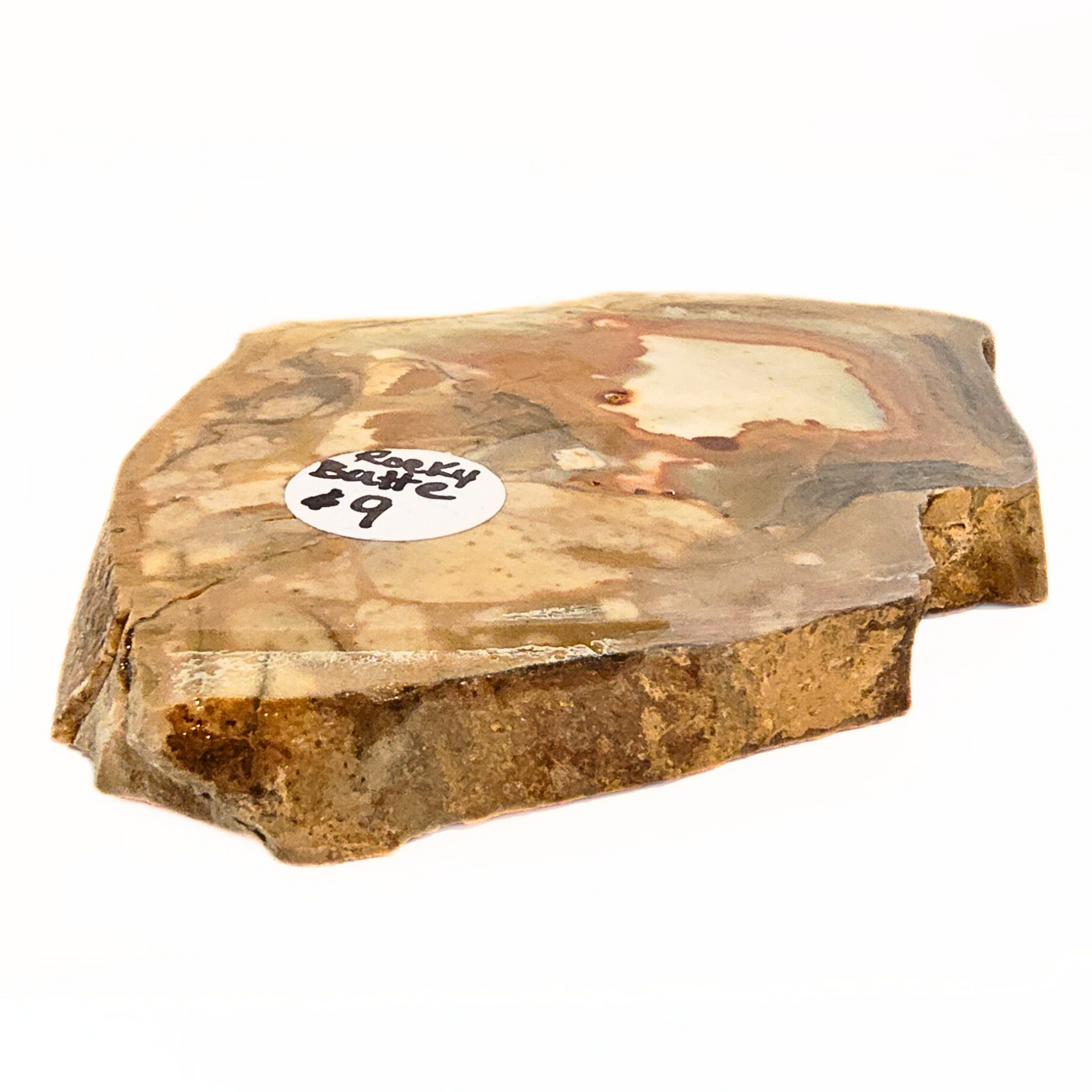 SLAB-044 Rocky Butte Picture Jasper Slab