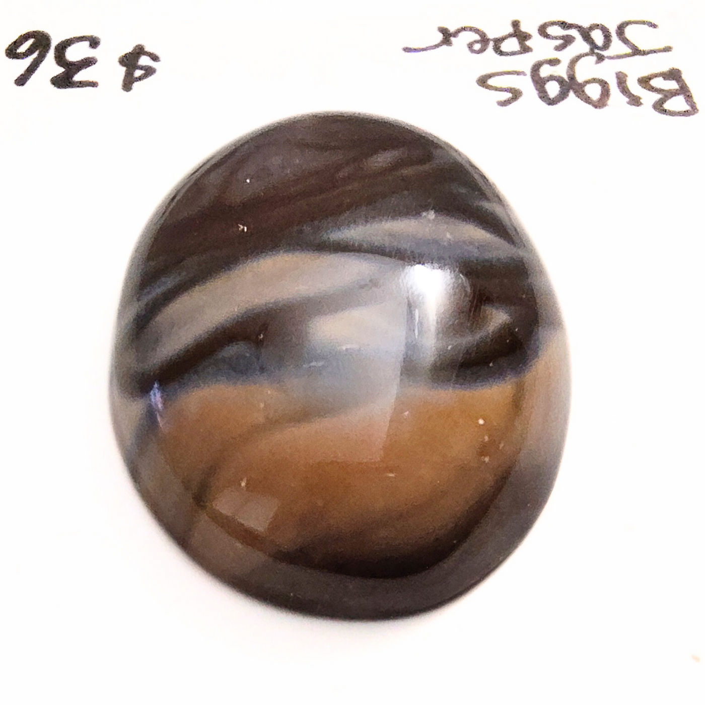 BIJ-1000 Biggs Jasper Cabochon